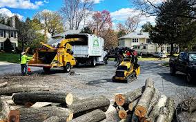 Best Tree Health Inspection  in Beardstown, IL